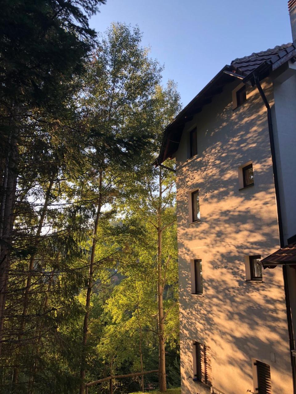 Stara Bacija Apartment Kopaonik Bagian luar foto