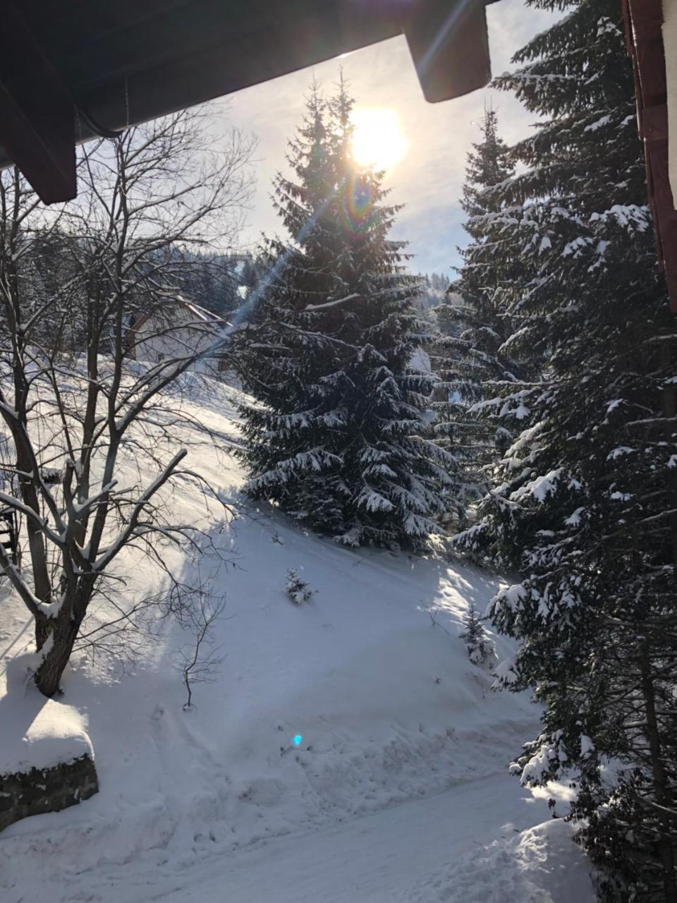 Stara Bacija Apartment Kopaonik Bagian luar foto