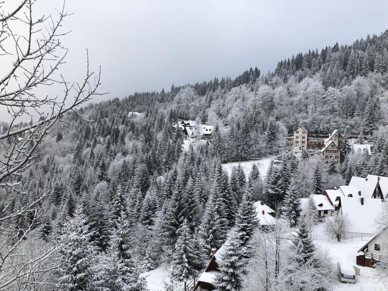 Stara Bacija Apartment Kopaonik Bagian luar foto